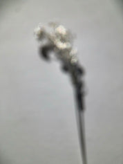 Dew Branch