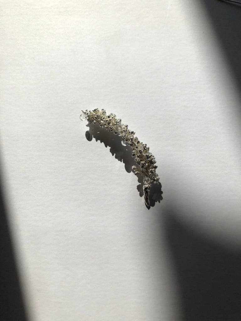 Frozen Bloom