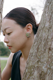 Quiet Phase – Medium