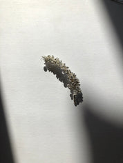 Winter - 3