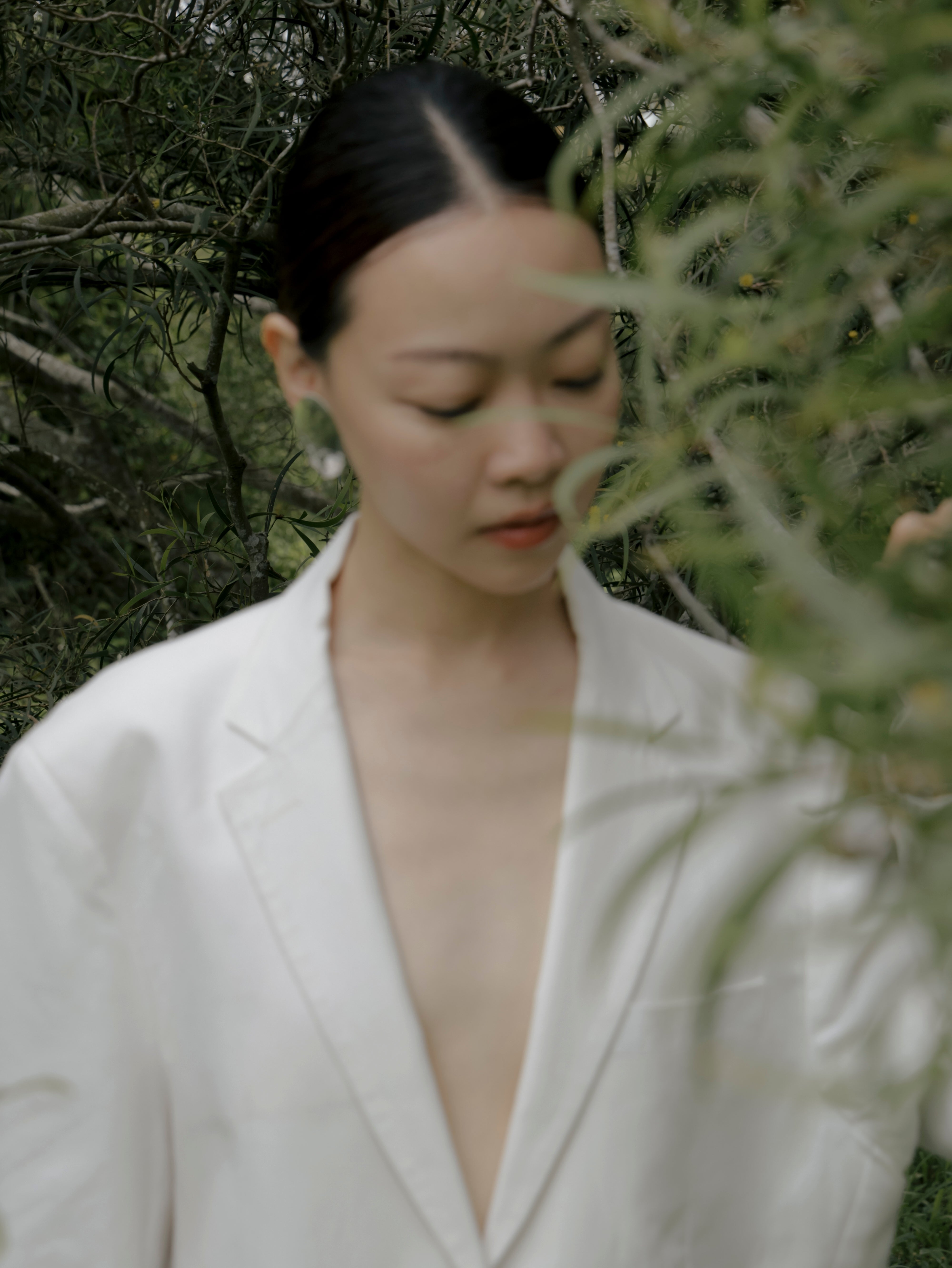 Quiet Phase  – Large